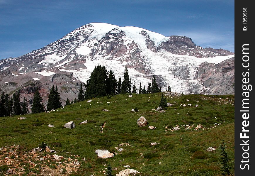 Mt. Rainier