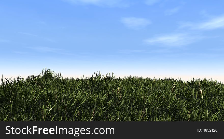 Green grass and blue sky - 3d scene. Green grass and blue sky - 3d scene.