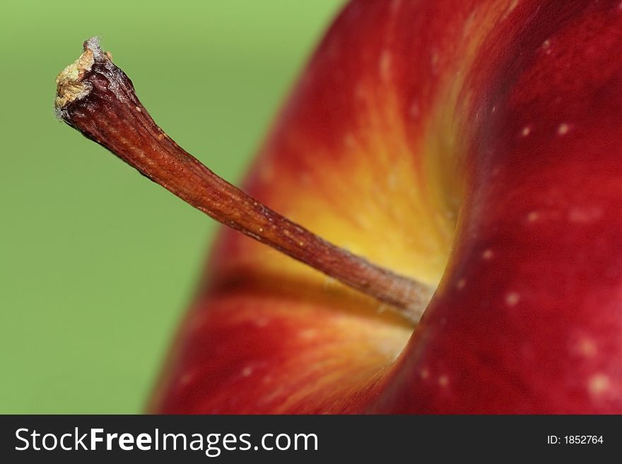 Closeup of Apple. Focus on Tail.