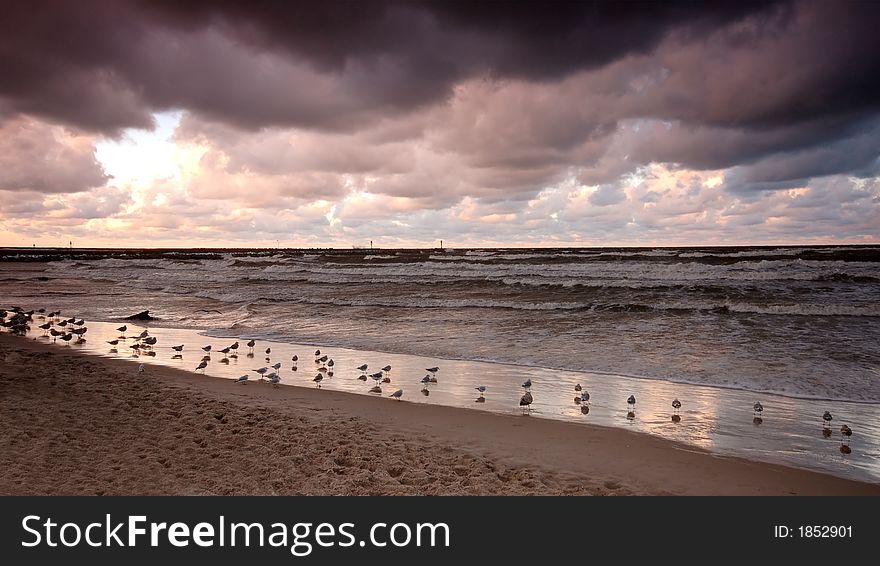 Sunset ocean. Wide angle picture