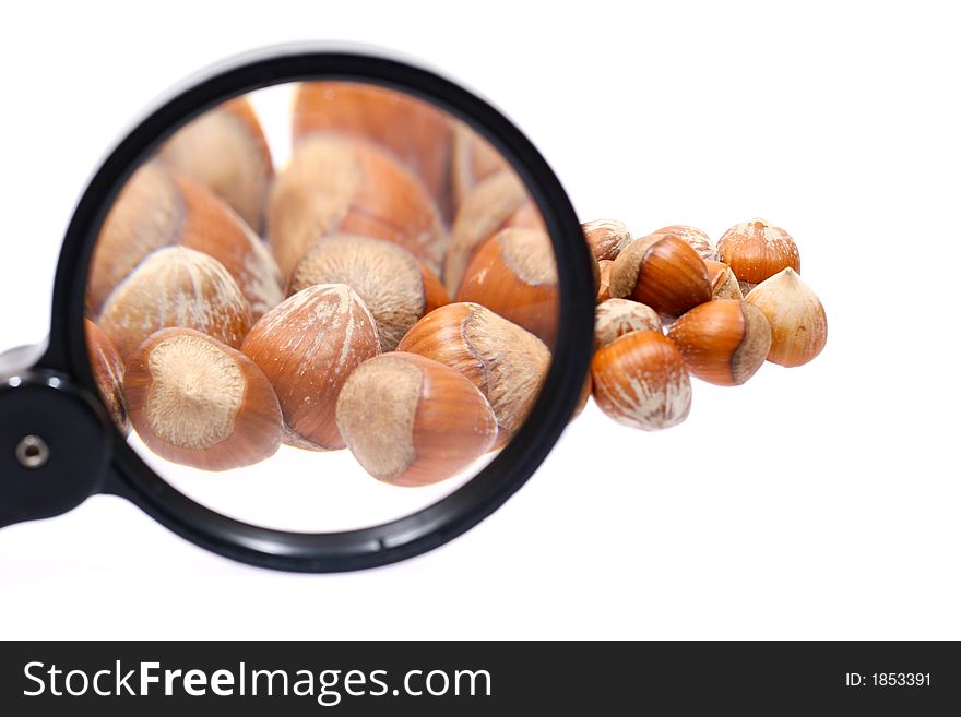 Extreme closeup for little hazelnuts isolated on white background