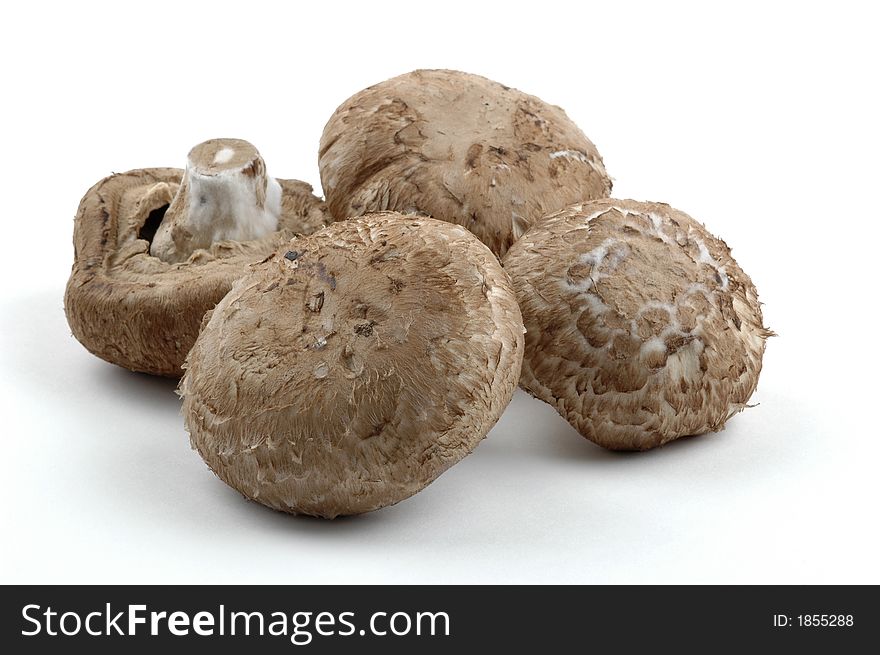 Portabello mushrooms against a white background.