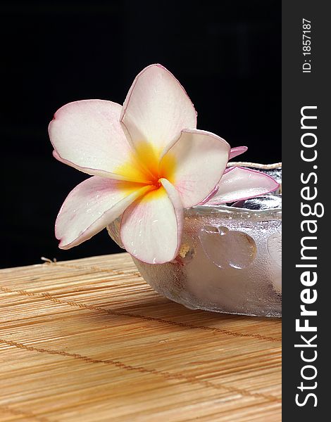 Detail of frangipane flower and pebbles in a glass bowl on the rattan background. Detail of frangipane flower and pebbles in a glass bowl on the rattan background