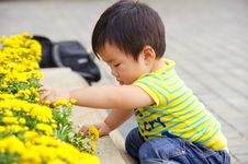 Playing Baby Stock Photography