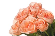 Bouquet Of Roses Stock Photography Bouquet Of Roses Stock Photography