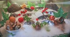 Icy Seafood Showcase Stock Image