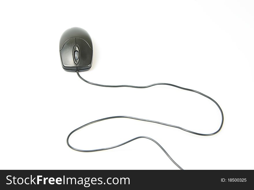 Computer mouse isolated on a white background