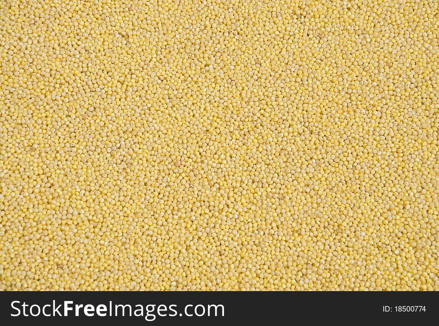 Little yellow grits as a background. Little yellow grits as a background