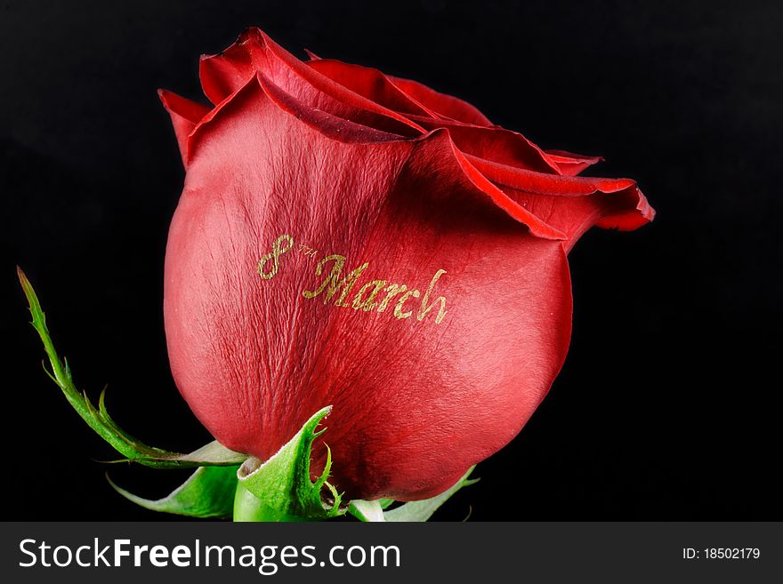 Red rose with an inscription on March 8 on a black background. Red rose with an inscription on March 8 on a black background