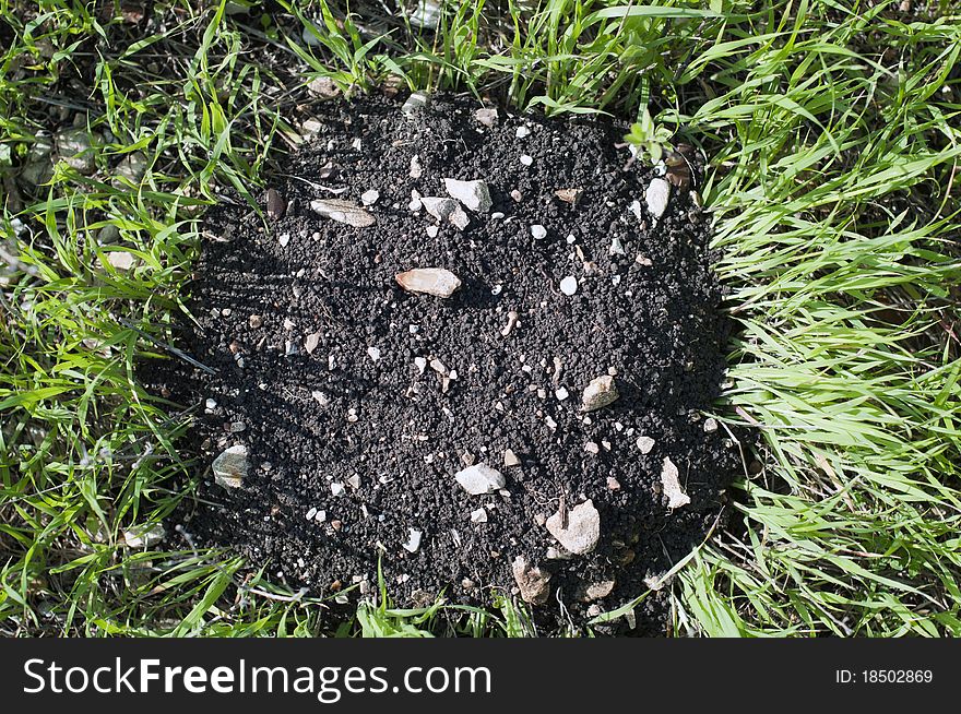 Black earth on a background of green grass. Black earth on a background of green grass