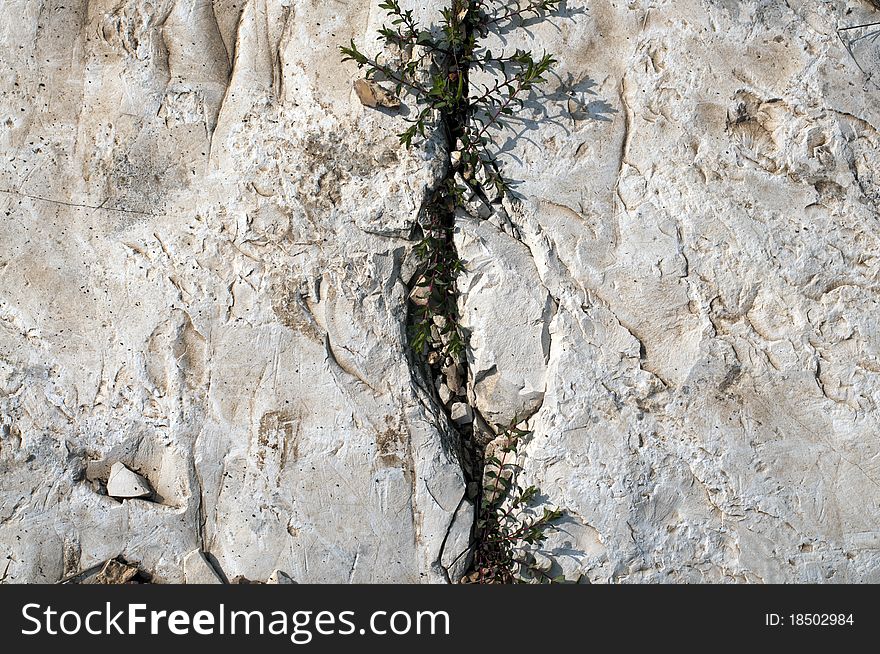 Stone with a crack in the middle for your background