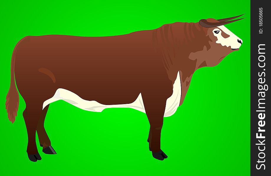 Cattle living on the farm. Animal on a green background. Cattle living on the farm. Animal on a green background