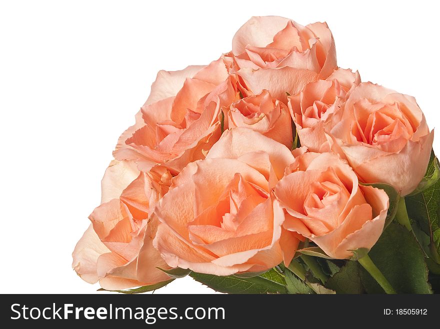 Bouquet of roses isolated on white