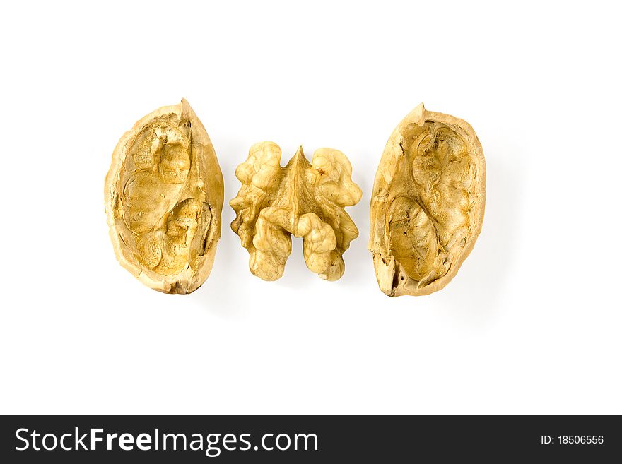 Walnut shelled and isolated on a white background