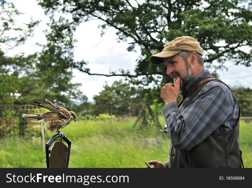 Falconer with Falcon falco cherrug .