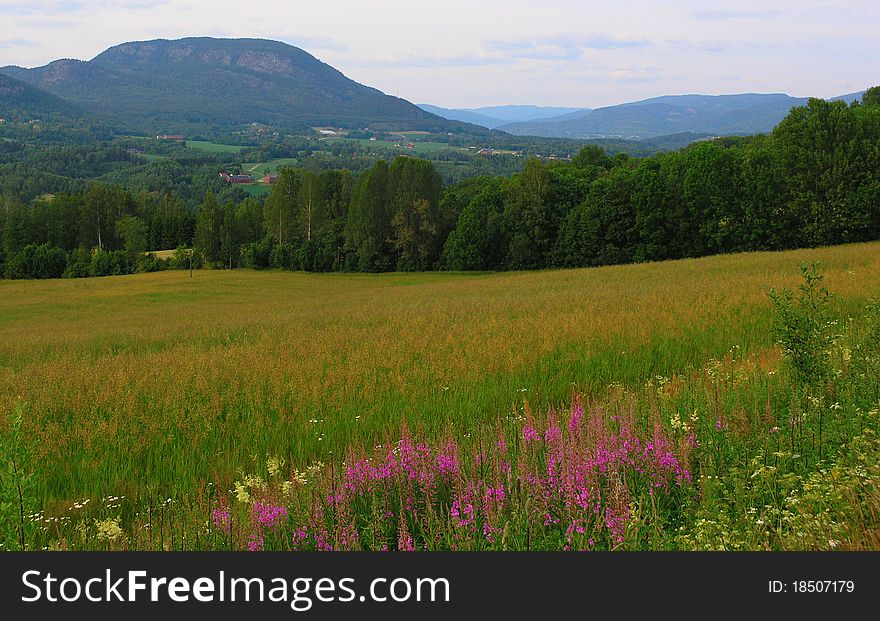 The Countryside of Norway on a Summer Day. The Countryside of Norway on a Summer Day