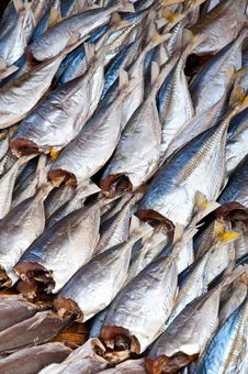 Dried Fish Stock Images Dried Fish Stock Images