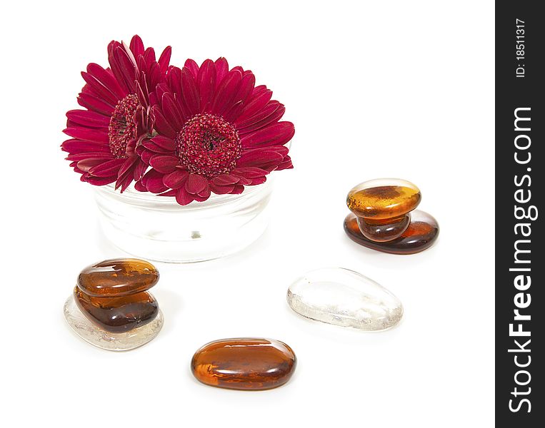 Glass stones and gerber flower. Glass stones and gerber flower