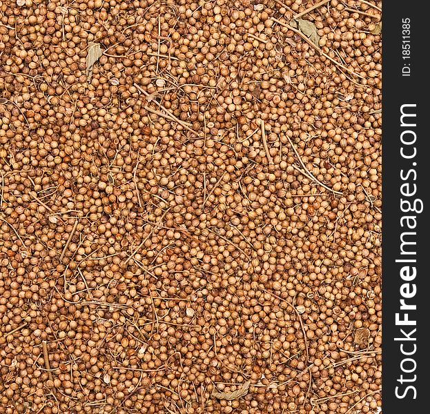 Background texture of savory spices