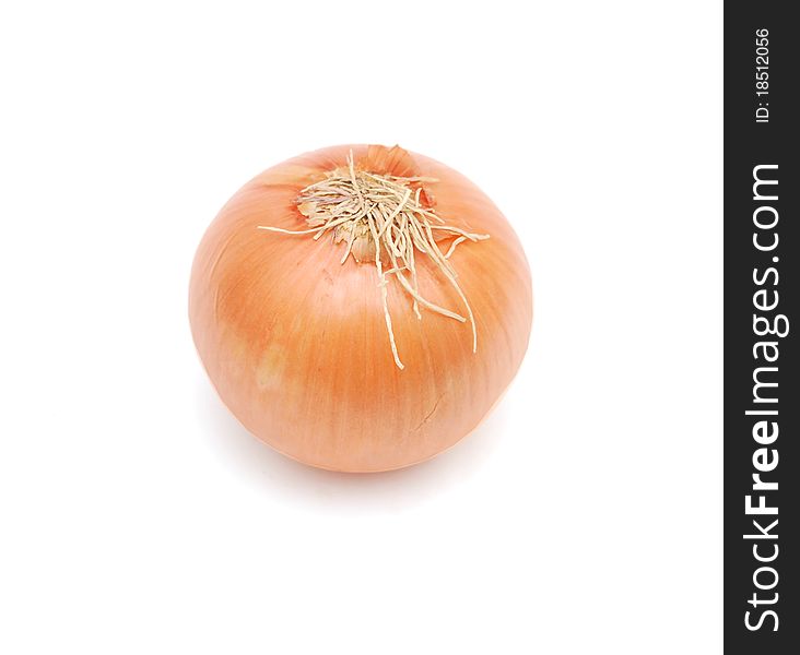 Food onion isolated brown background
