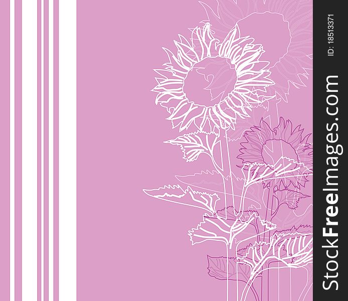 Floral invitation for life events with space for text, with sunflowers in white pink colors