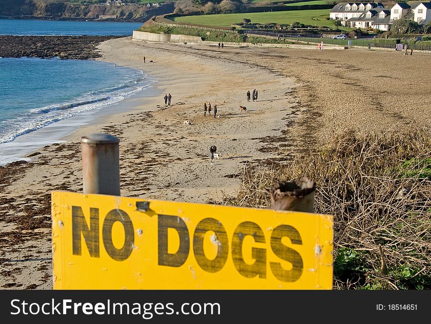 Ironic placement of sign considering the number of people with dogs on the beach. Ironic placement of sign considering the number of people with dogs on the beach