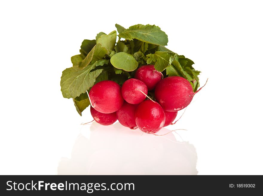Fresh organic radish isolated on white