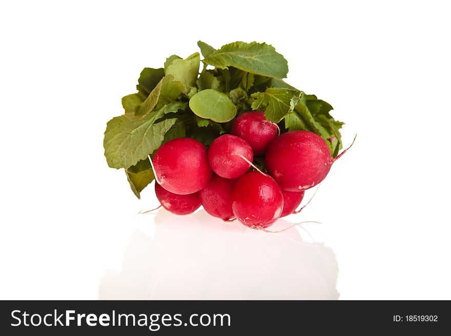 Radish Isolated On White