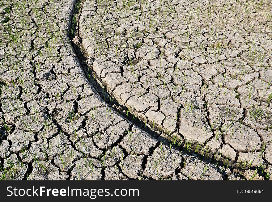 Agriculture area in the central of Thailand but not water