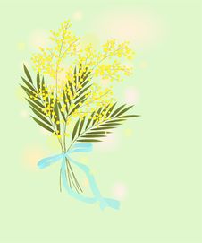Green Card With Mimosa Royalty Free Stock Photo Green Card With Mimosa Royalty Free Stock Photo