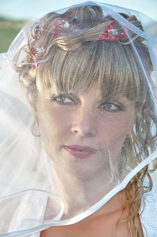 Portrait Of A Beautiful Bride With Veil Royalty Free Stock Image Portrait Of A Beautiful Bride With Veil Royalty Free Stock Image