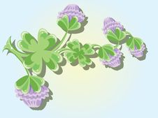 Background With Clover Stock Images