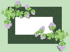 Background With Clover Stock Photo