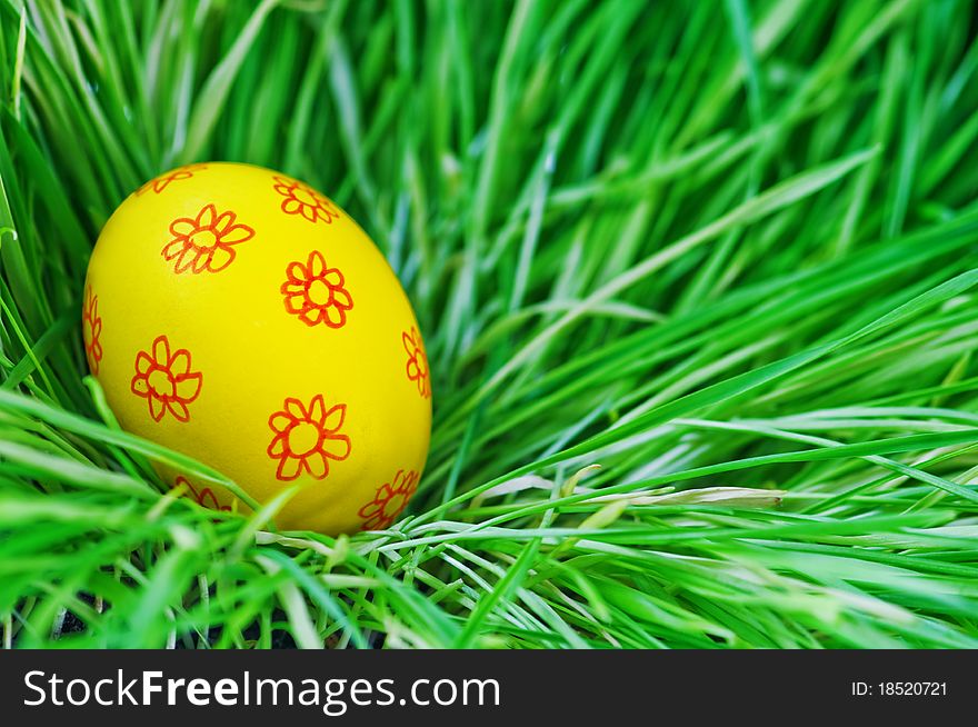 Yellow egg in green grass