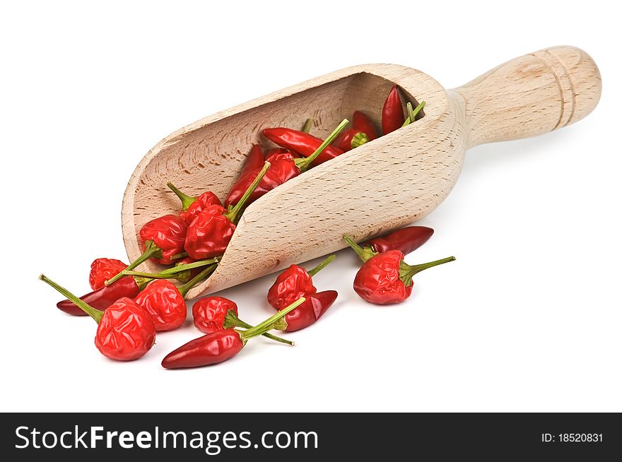 Red peppers isolated on white