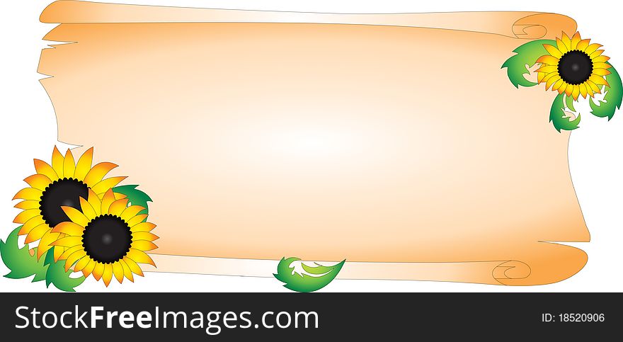 Blank and sunflower isolated on white background. Vector illustration