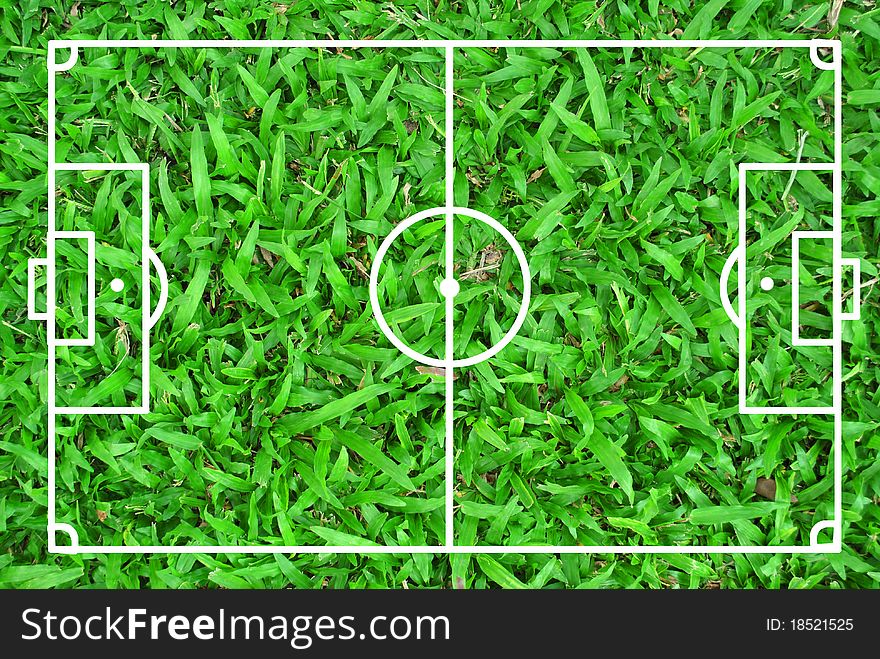 Football field is on the grass texture