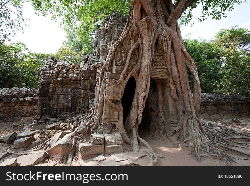 Trees overgrow the backgate of Ta Som temple in Angkor, Cambodia. Trees overgrow the backgate of Ta Som temple in Angkor, Cambodia.