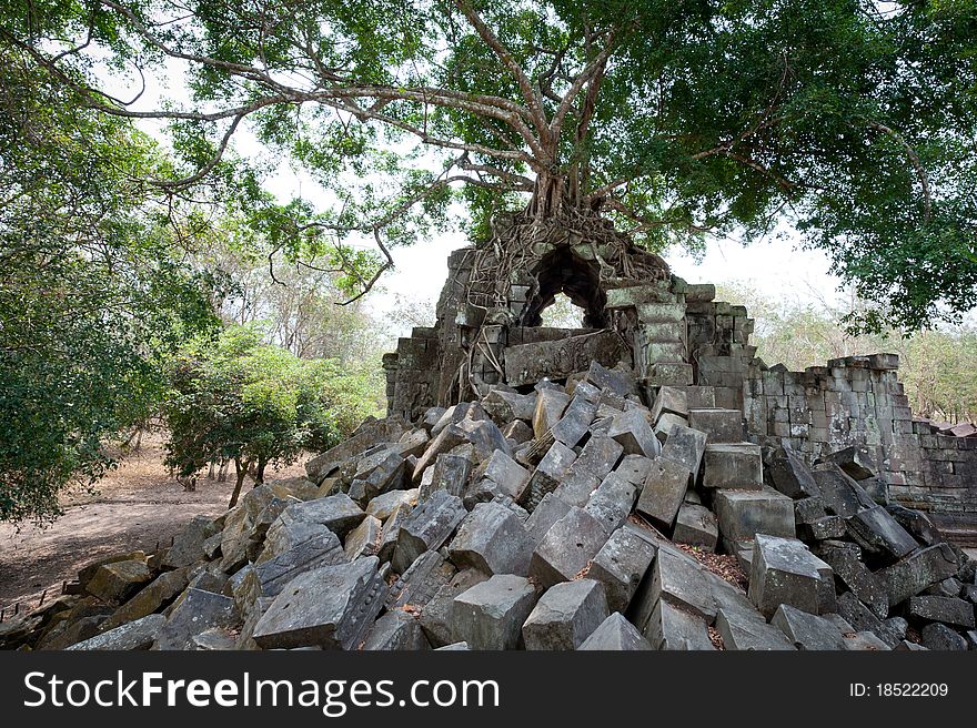 Beng Mealea Temple in Angkor