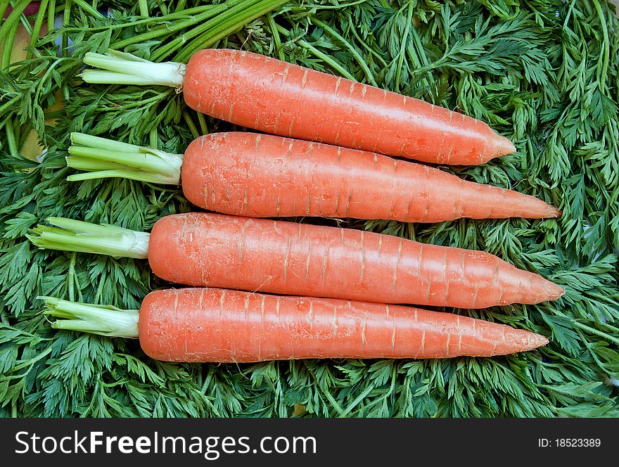 Fresh ripe carrot on green background. Fresh ripe carrot on green background