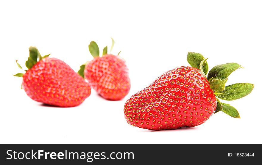 Studio photo of isolated strawberries on white background
