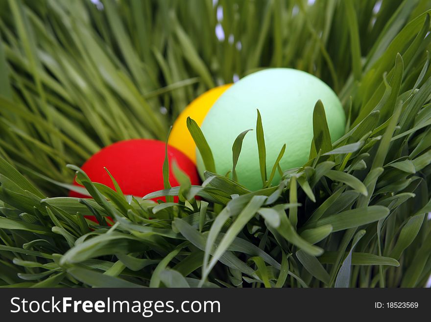 The Easter eggs on the grass. The Easter eggs on the grass