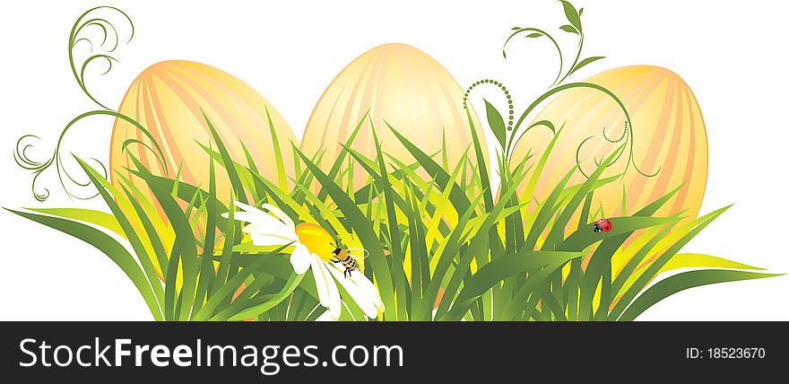 Easter eggs in the grass with chamomile. Illustration