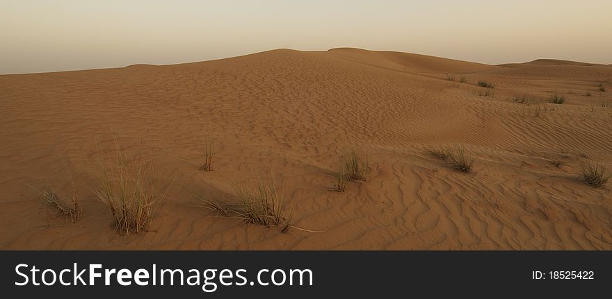 Desert of sand and grass outside Dubai in UAE.