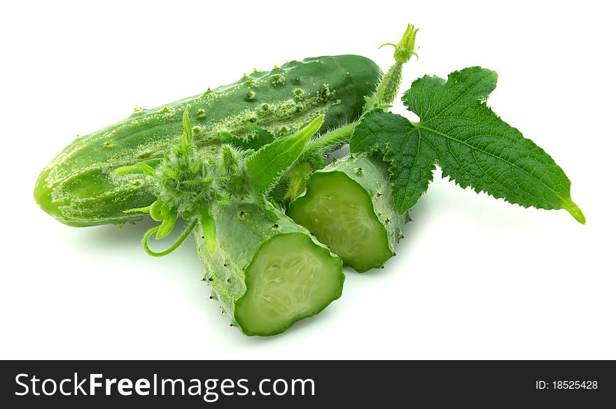 Two fresh cucumbers close up