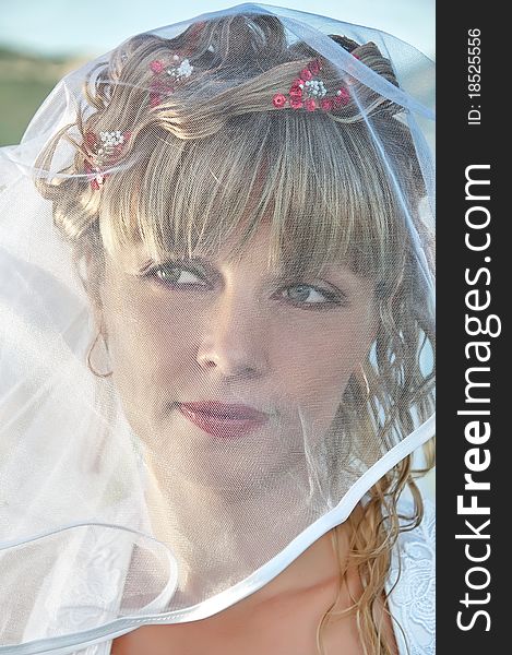 Portrait of a beautiful bride with veil close up