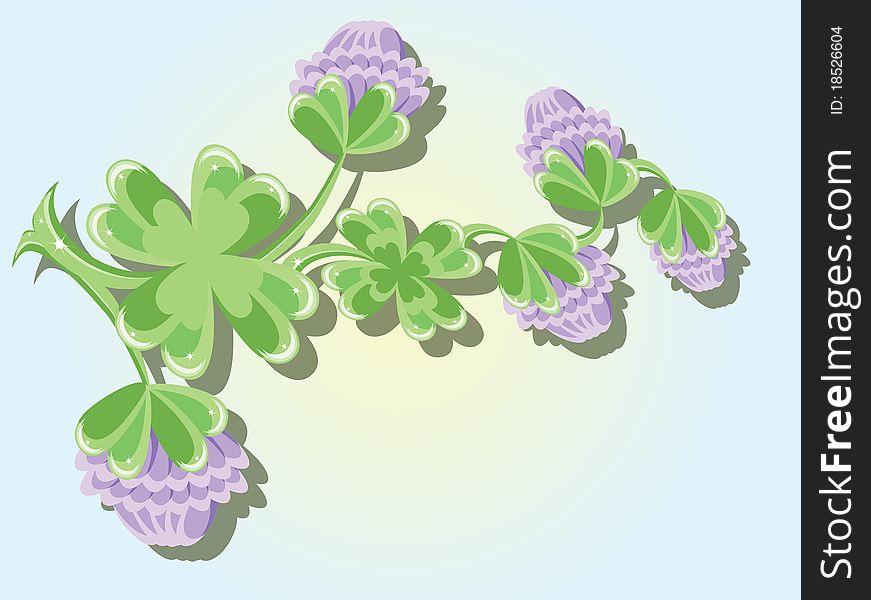 Light background with flowers clover. Light background with flowers clover
