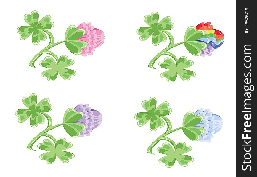 Set of  clovers flowers, isolated over white