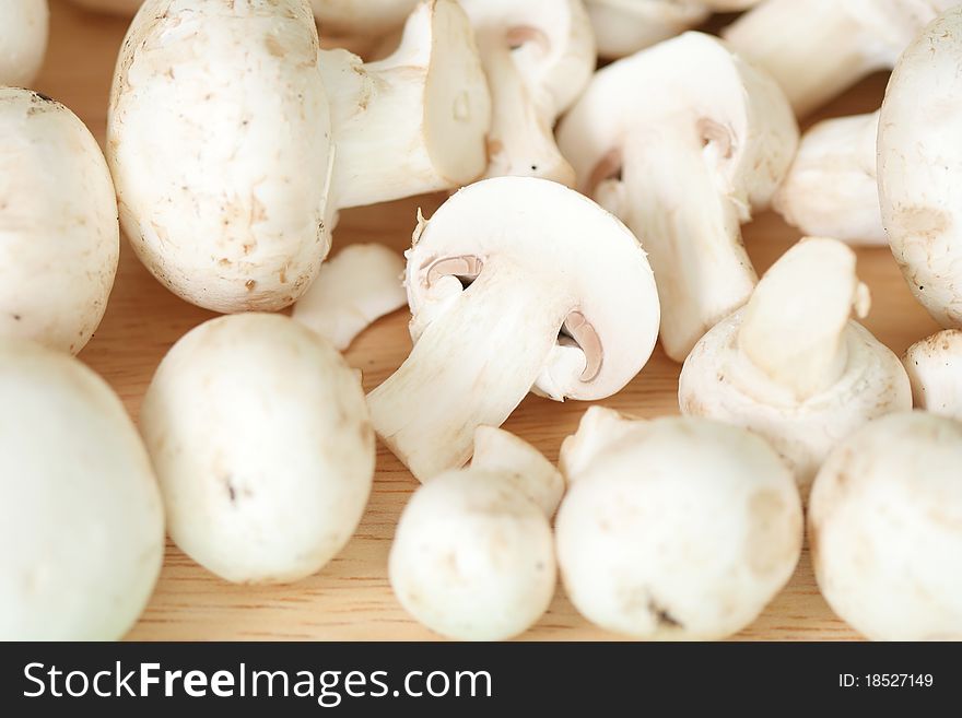 Close-up of field mushroom. Close-up of field mushroom