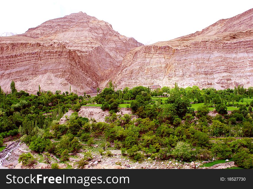 Red Mountain And Green Trees